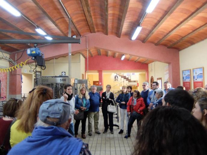 Jornada de viñedos en Macià Batle