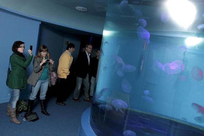 El Gran Azul de Palma Aquarium